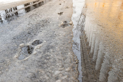 High angle view of footprints in snow