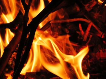 Close-up of bonfire