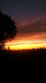 Silhouette trees on field against orange sky