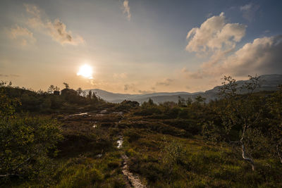 Scenic view of landscape against sky during sunset