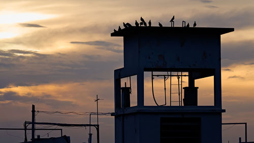 Low angle view of bird perching on building against sky