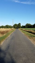 Empty country road along trees