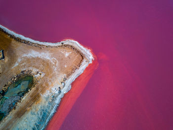 High angle view of pink umbrella on beach