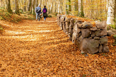 People walking on footpath in forest