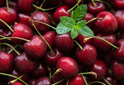 Fresh red cherries fruit as a natural food background