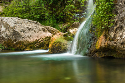 Scenic view of waterfall in forest