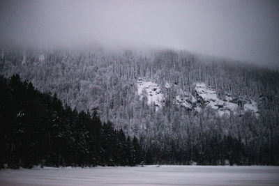 Scenic view of snow covered field