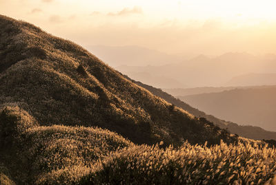 Scenic view of field against sky during sunset