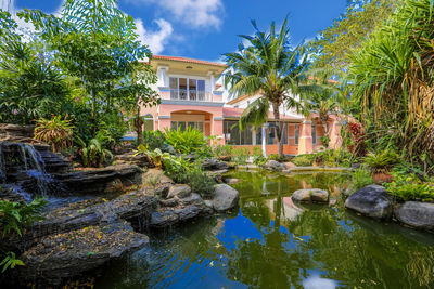 Houses and palm trees by plants and building against sky