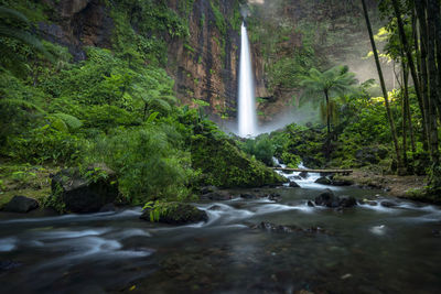 Scenic view of waterfall in forest