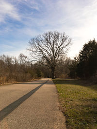 Bare trees on landscape against sky