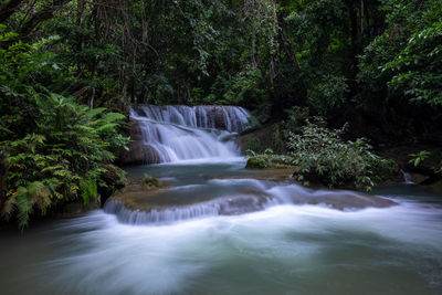 Scenic view of waterfall in forest