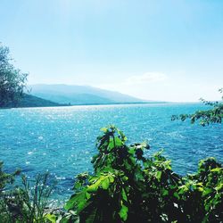 Scenic view of sea against clear blue sky