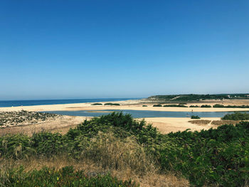 Scenic view of sea against clear blue sky