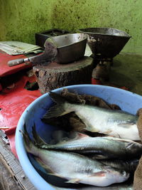 Close-up of fish in container