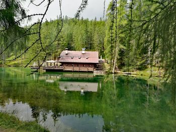 Scenic view of lake in forest