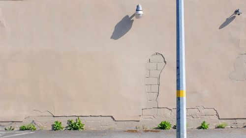 Close-up of peeled wall