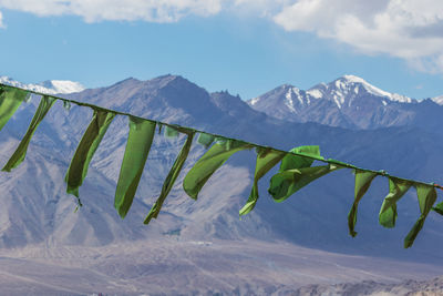 Close-up of prayer flags waving against snowcapped mountains and sky