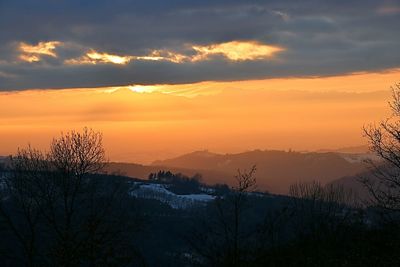 Silhouette of trees during sunset