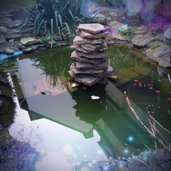 Reflection of trees in pond