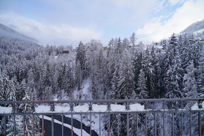 Snow covered plants by railing against sky