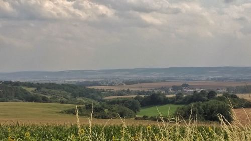 Scenic view of field against cloudy sky
