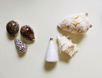 High angle view of bread on white background