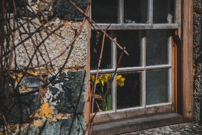 Window of old abandoned building