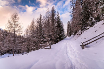 Snow covered landscape against sky