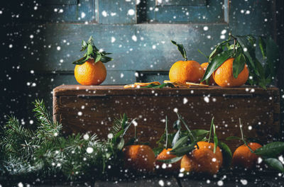 Close-up of oranges on table during snowfall