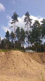 Trees on field against sky