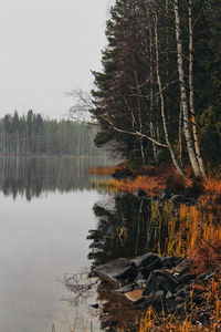 Scenic view of lake in forest against sky