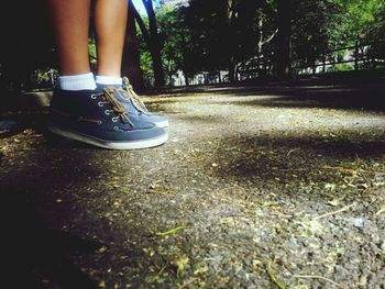 Low section of people standing on tree trunk