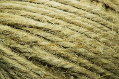 Full frame shot of rice paddy