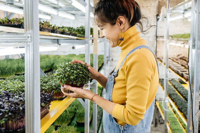 Young female farmer growing microgreens on her indoor vertical garden. happy woman looking after