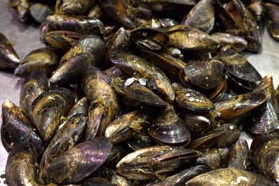 Full frame shot of carrots