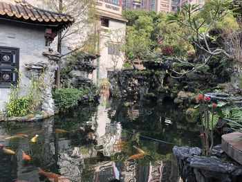 Plants by lake against building