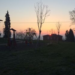 Bare trees on field at sunset