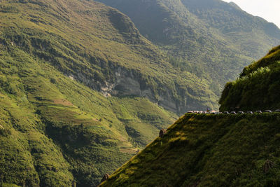 Scenic view of landscape and mountains