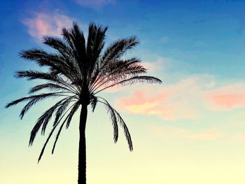 Low angle view of silhouette coconut palm tree against romantic sky