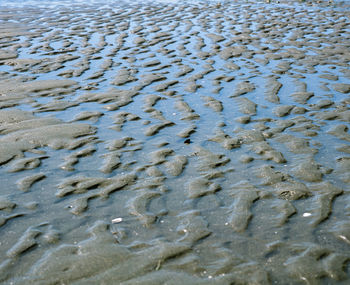 Full frame shot of wet sand