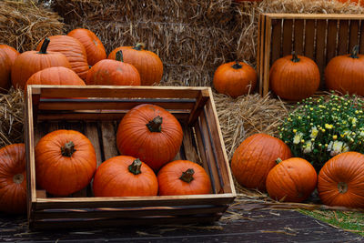 High angle view of pumpkins for sale at market