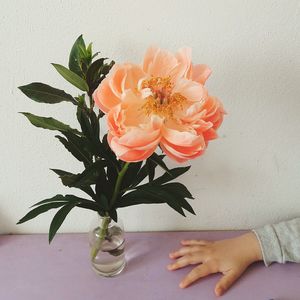 Close-up of rose flower in vase