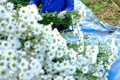 Midsection of farmer arranging flowers outdoors