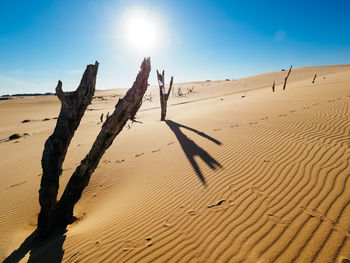 Sand dune in desert against sky