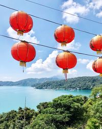 Low angle view of lanterns hanging by trees against sky