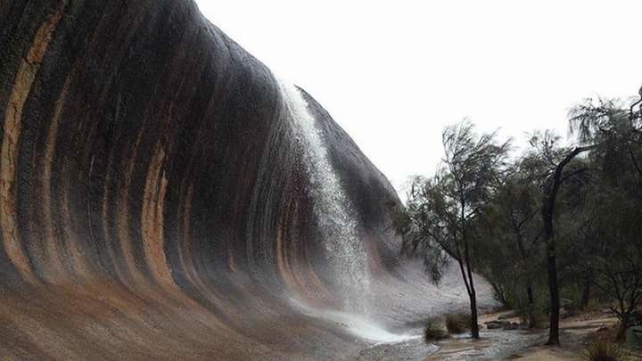 SCENIC VIEW OF WATERFALL AGAINST TREES