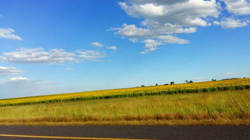 Scenic view of landscape against cloudy sky