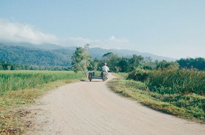 Rear view of people on road against sky