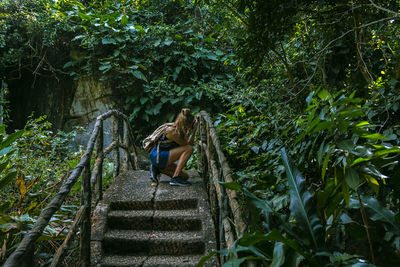 Rear view of woman standing amidst trees